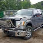 2010 Ford F150